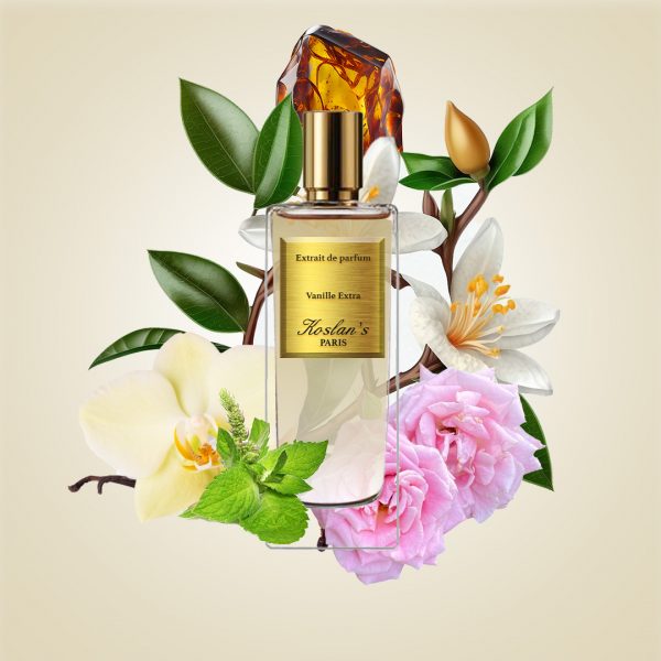 VANILLE EXTRA – Image 2